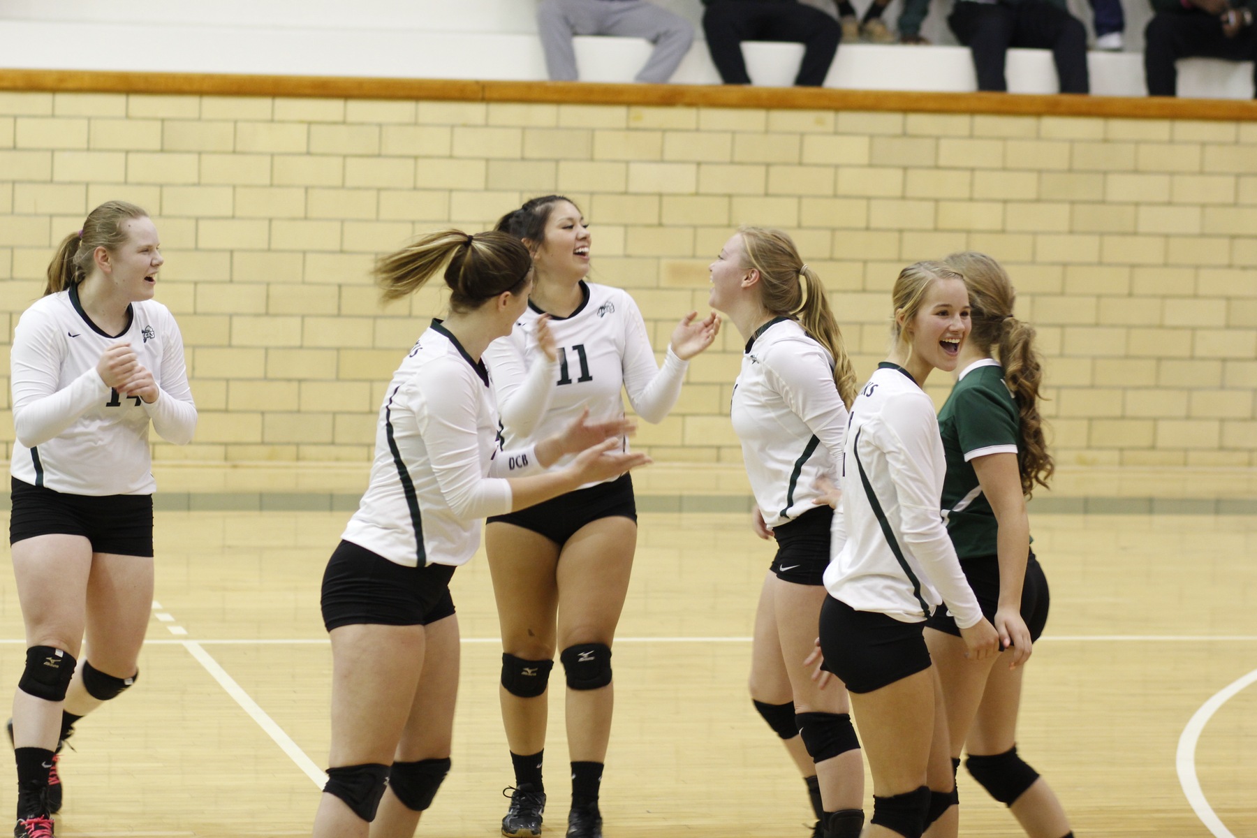 DCB Drops Last Home Game