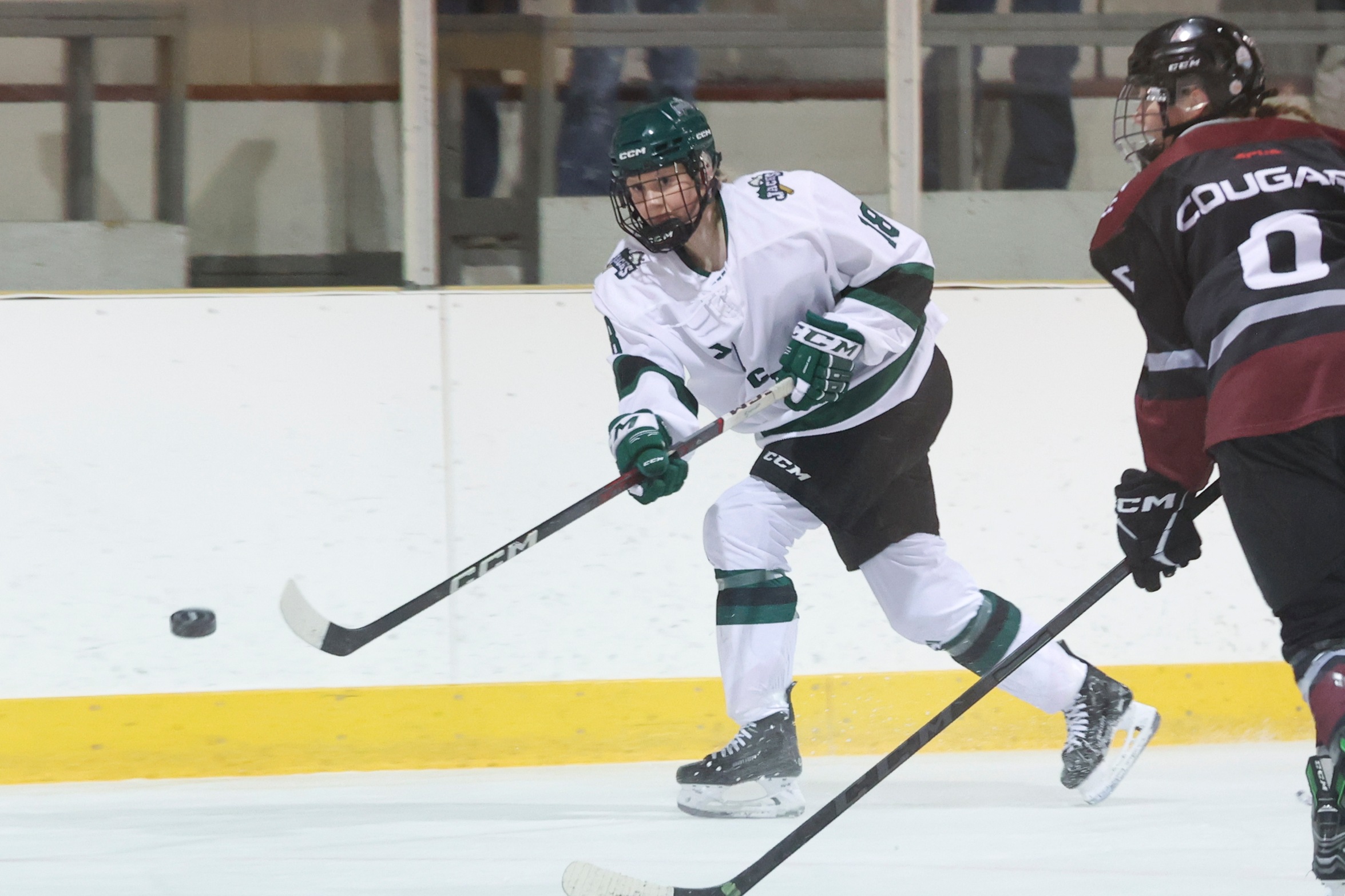 Jacks Swept by Cougars